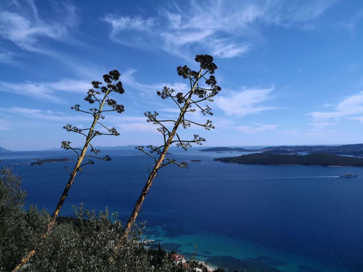 Sea And Pine Paradise Orebić Dış mekan fotoğraf